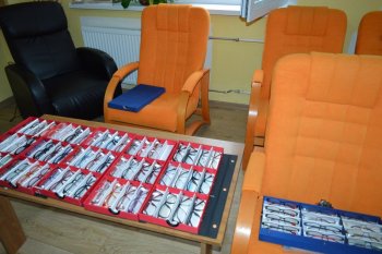 Mohli sme si skontrolovať náš zrak