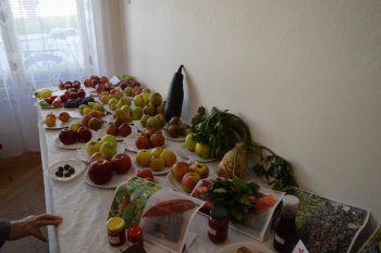 Poďakovanie za úrodu