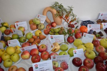 Poďakovanie za úrodu