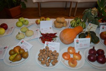 Poďakovanie za úrodu