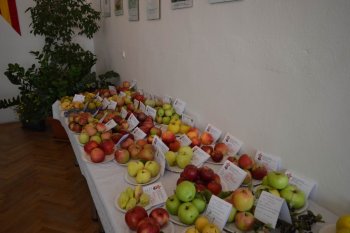 Poďakovanie za úrodu