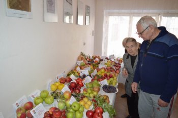 Poďakovanie za úrodu