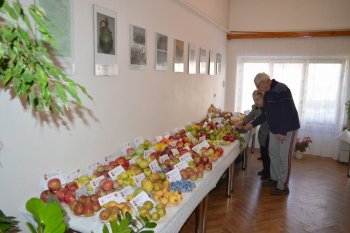 Poďakovanie za úrodu