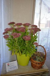 Poďakovanie za úrodu