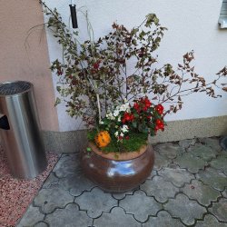 Skrášľujeme si domov