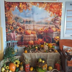 Skrášľujeme si domov