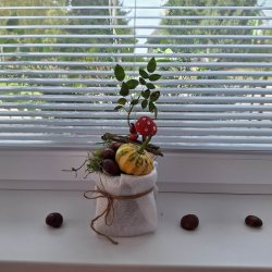 Skrášľujeme si domov