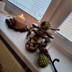 Pestrosť aktivít v domčeku