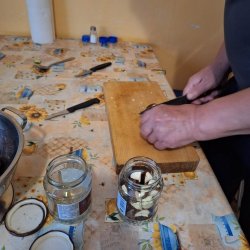 Pestrosť aktivít v domčeku